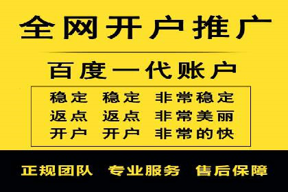 不同平台的SEM广告投放比较及成功案例分析